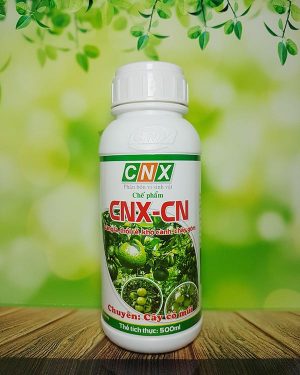 CNX CN Tiêu diệt mầm bệnh trong đất